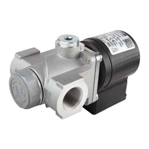 BRAHMA EG12*SR*GFD Valf 13923001 1/2'' Debi Ayarlı Pmax 500mbar 230V 50-60Hz 20VA