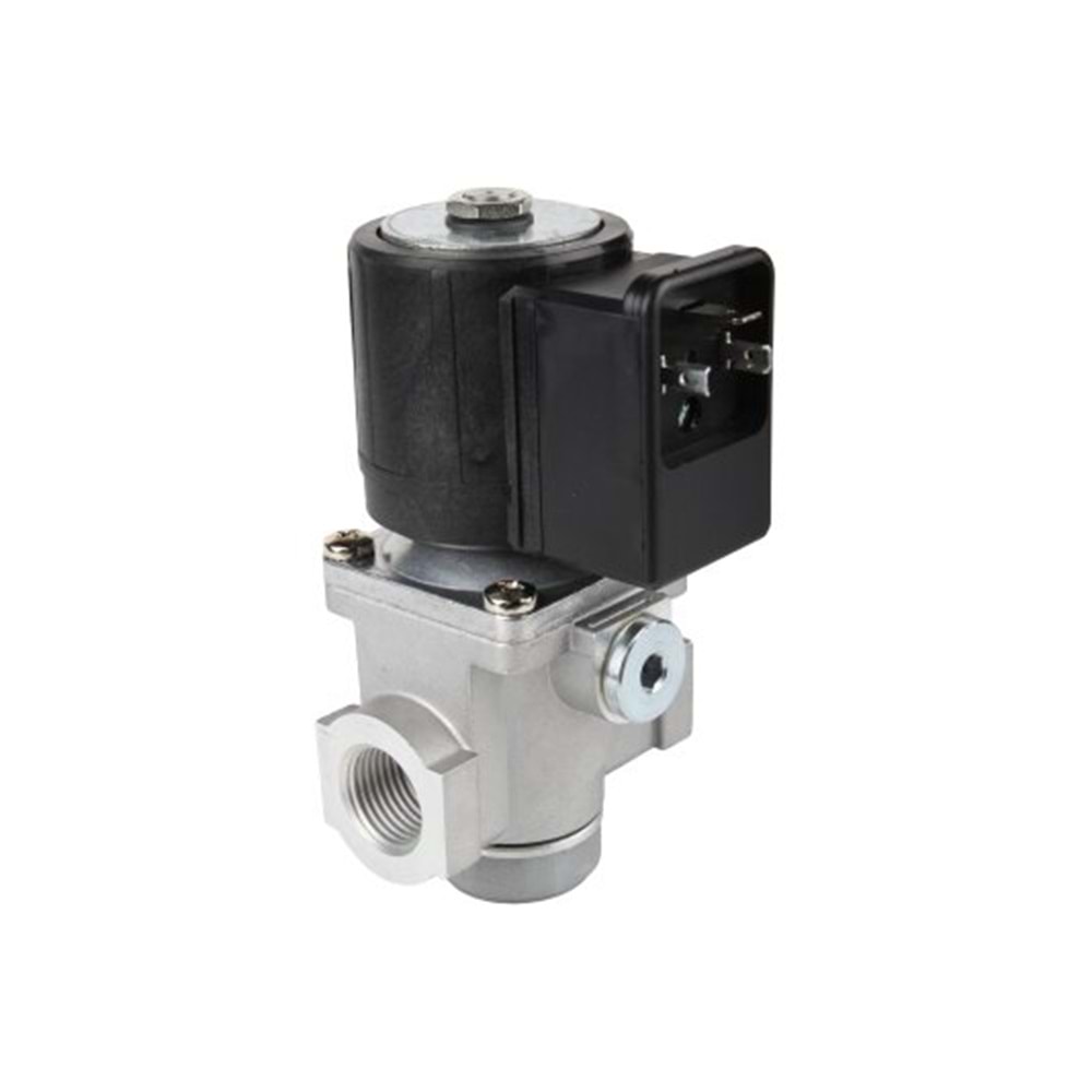 BRAHMA EG12*SR*GFD Valf 13923001 1/2'' Debi Ayarlı Pmax 500mbar 230V 50-60Hz 20VA